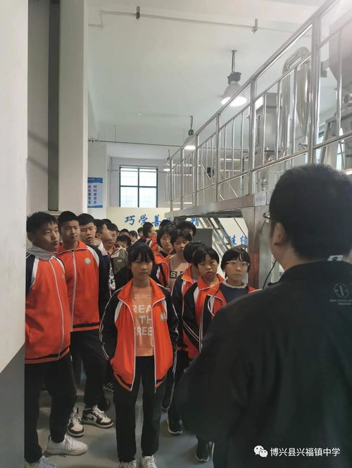 強化實踐育人意識,完善實踐教學體系 興福鎮中學初二學生社會實踐活動紀實